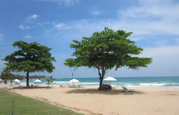 Finde Ruhe in Trincomalee, der Strandperle des Ostens.